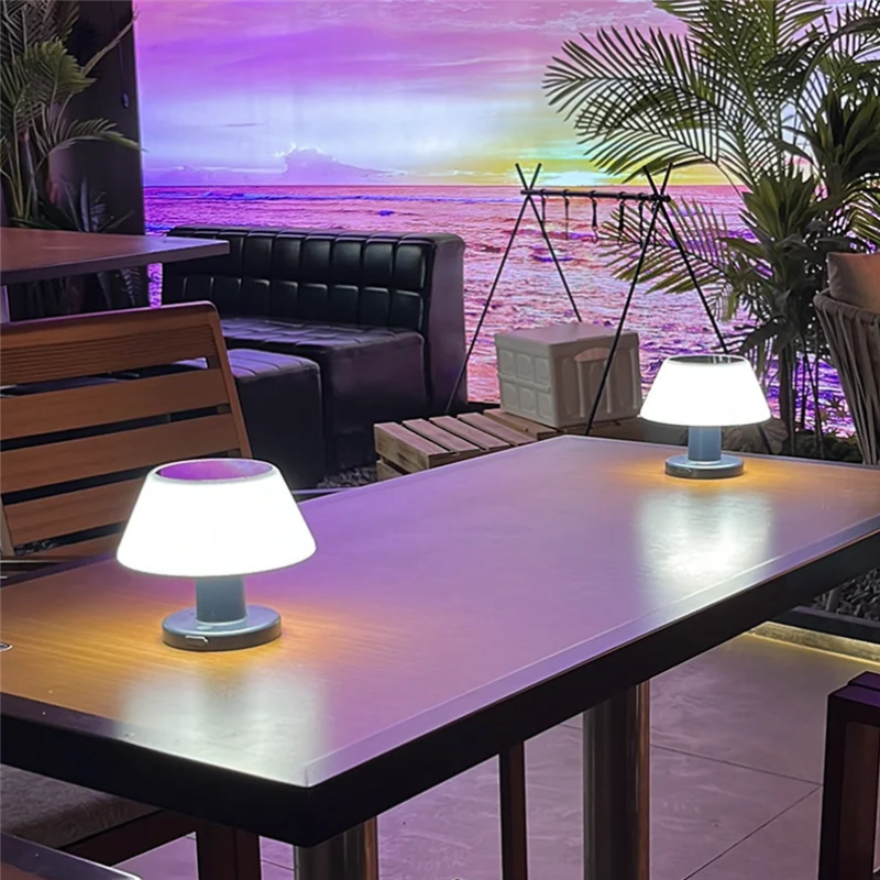 Two table lamps on a table with a scenic view of water and sky in the background.