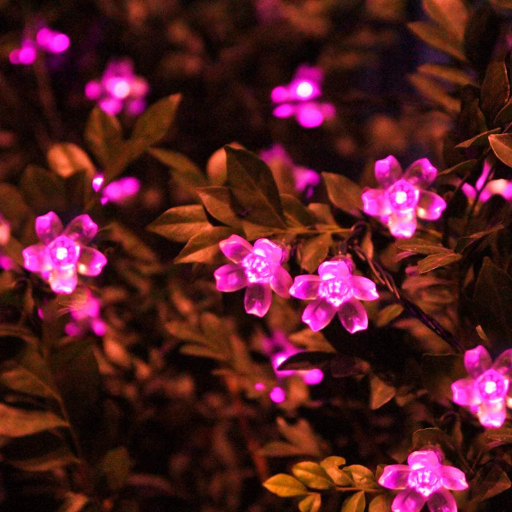 Pink flower-shaped lights on a dark background