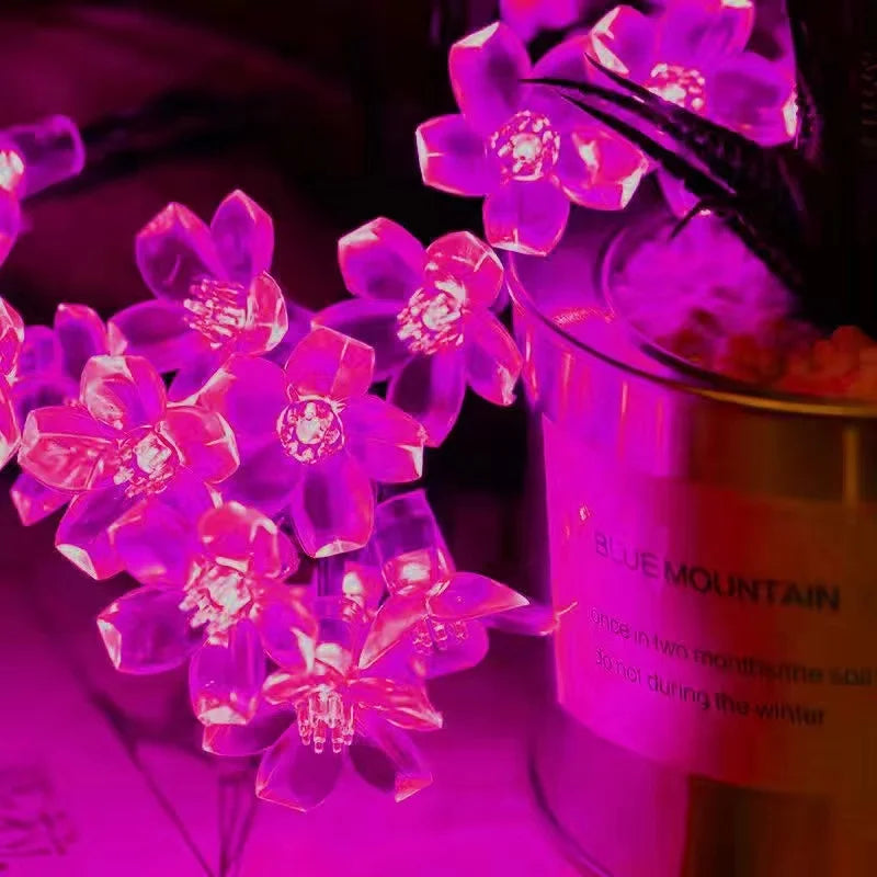 Pink LED flower lights next to a container of coffee beans.