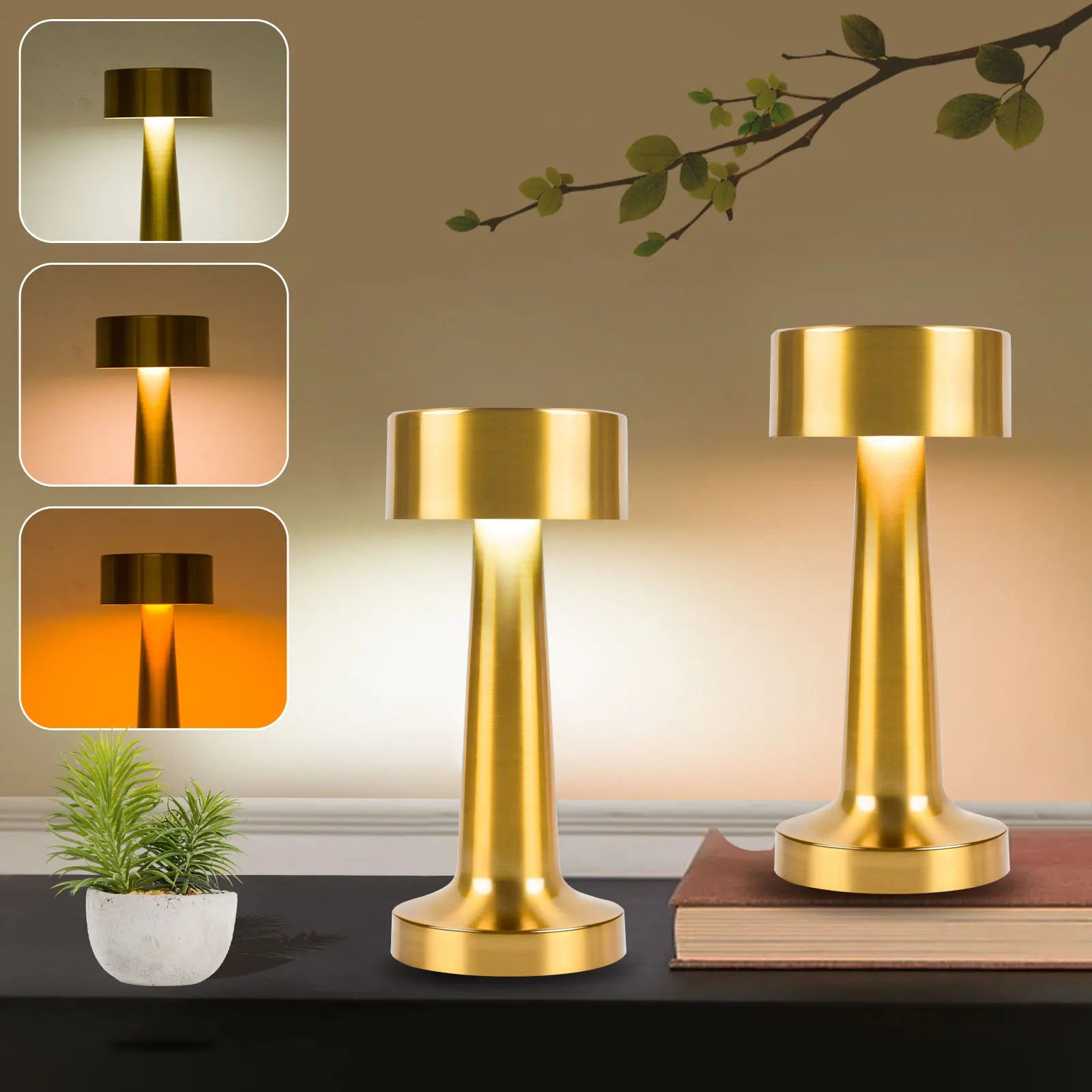Two gold table lamps on a surface with a plant and book in the background.