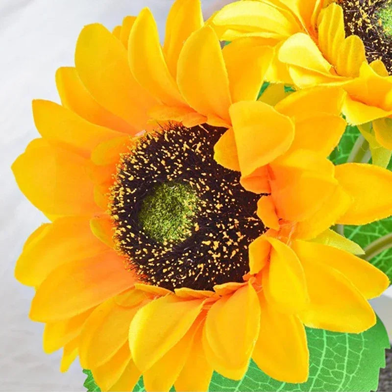 Close-up of a bright yellow sunflower with green center on a white background