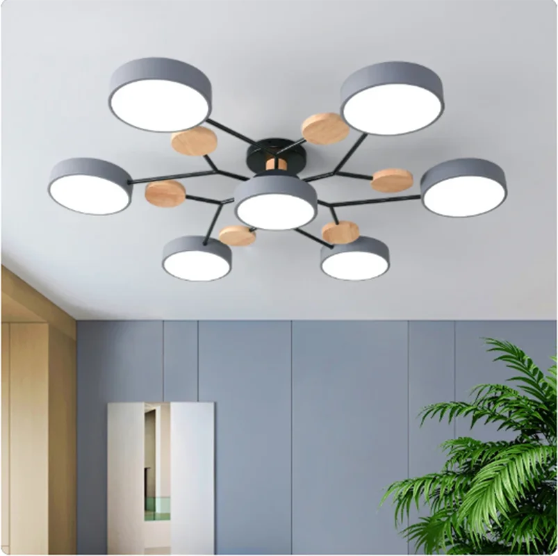 Modern ceiling light fixture in a room with a plant